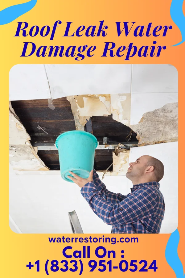 Roof Leak Water Damage Repair in Muddy, MT